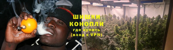 амф Гусев