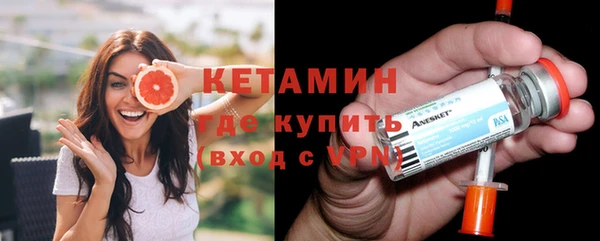 амф Гусев