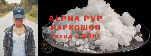 амф Гусев