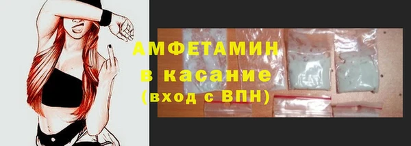 амф Гусев