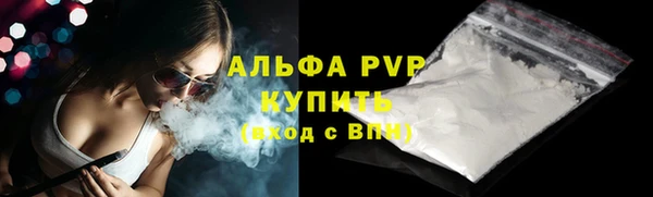 амф Гусев