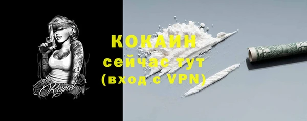кокс Гусь-Хрустальный