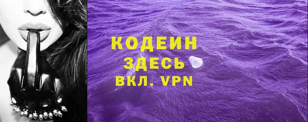 амф Гусев