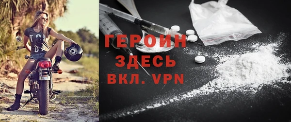 амф Гусев