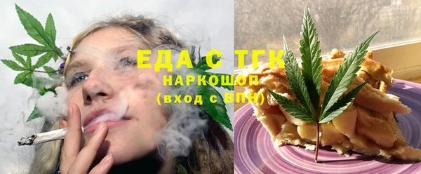 амф Гусев