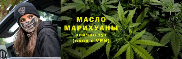 амф Гусев