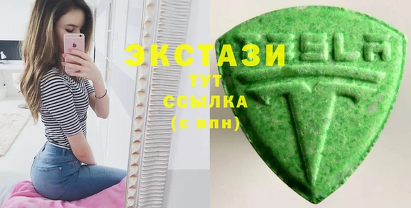 амф Гусев
