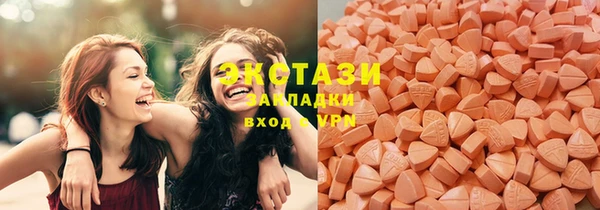 амф Гусев