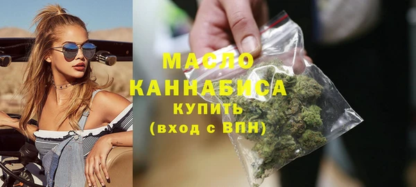 амф Гусев