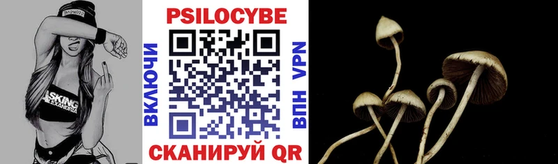 Псилоцибиновые грибы Cubensis  где можно купить наркотик  Дивногорск 